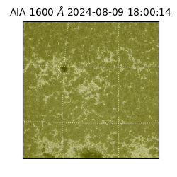 saia - 2024-08-09T18:00:14.126000
