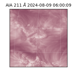 saia - 2024-08-09T06:00:09.631000