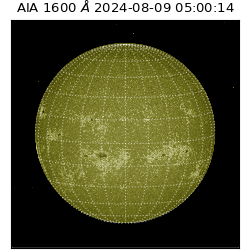 saia - 2024-08-09T05:00:14.126000