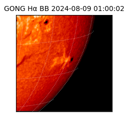 gong - 2024-08-09T01:00:02