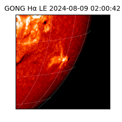gong - 2024-08-09T02:00:42