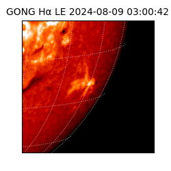 gong - 2024-08-09T03:00:42