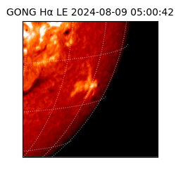 gong - 2024-08-09T05:00:42