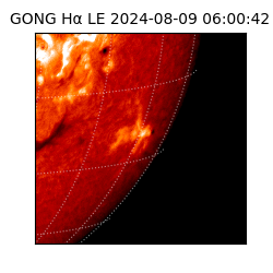 gong - 2024-08-09T06:00:42