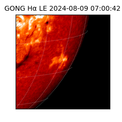 gong - 2024-08-09T07:00:42