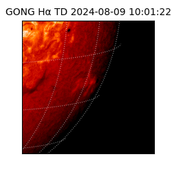 gong - 2024-08-09T10:01:22