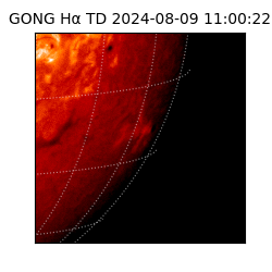 gong - 2024-08-09T11:00:22