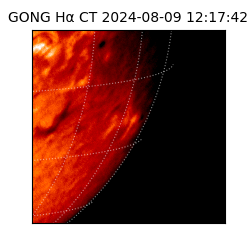 gong - 2024-08-09T12:17:42