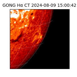 gong - 2024-08-09T15:00:42