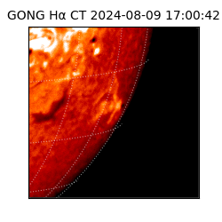 gong - 2024-08-09T17:00:42
