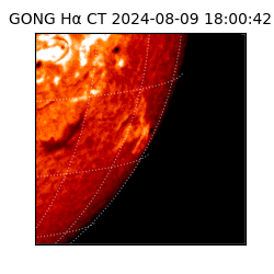 gong - 2024-08-09T18:00:42