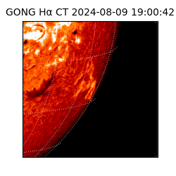 gong - 2024-08-09T19:00:42