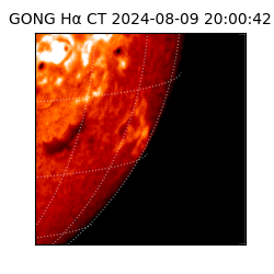 gong - 2024-08-09T20:00:42