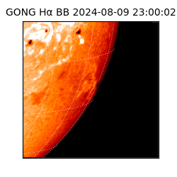 gong - 2024-08-09T23:00:02