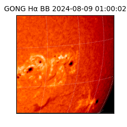 gong - 2024-08-09T01:00:02