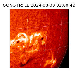 gong - 2024-08-09T02:00:42