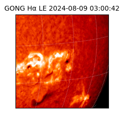 gong - 2024-08-09T03:00:42