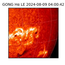 gong - 2024-08-09T04:00:42