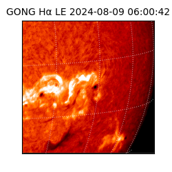 gong - 2024-08-09T06:00:42