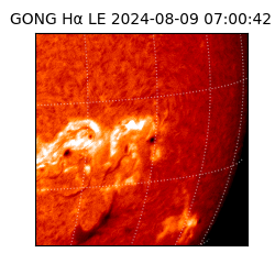 gong - 2024-08-09T07:00:42