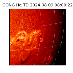 gong - 2024-08-09T08:00:22