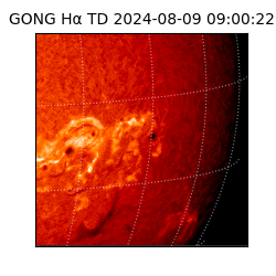 gong - 2024-08-09T09:00:22
