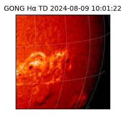 gong - 2024-08-09T10:01:22