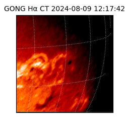 gong - 2024-08-09T12:17:42