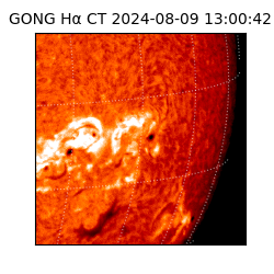 gong - 2024-08-09T13:00:42