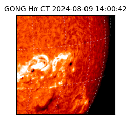 gong - 2024-08-09T14:00:42