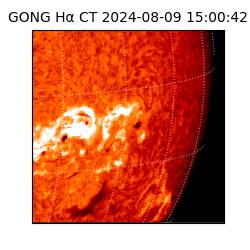 gong - 2024-08-09T15:00:42