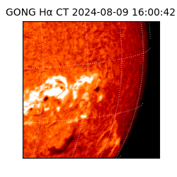 gong - 2024-08-09T16:00:42