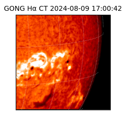 gong - 2024-08-09T17:00:42