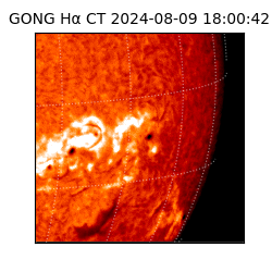 gong - 2024-08-09T18:00:42