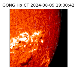 gong - 2024-08-09T19:00:42