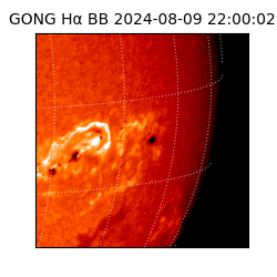 gong - 2024-08-09T22:00:02