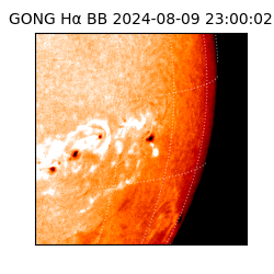 gong - 2024-08-09T23:00:02