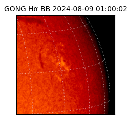 gong - 2024-08-09T01:00:02