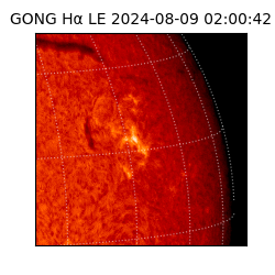 gong - 2024-08-09T02:00:42