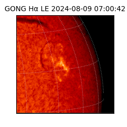 gong - 2024-08-09T07:00:42