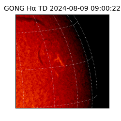 gong - 2024-08-09T09:00:22