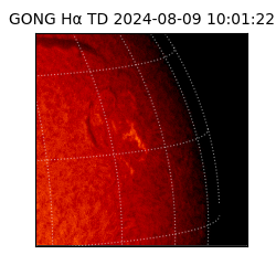 gong - 2024-08-09T10:01:22