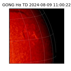 gong - 2024-08-09T11:00:22