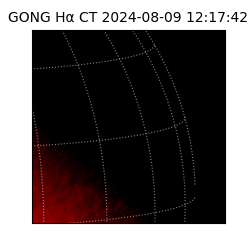 gong - 2024-08-09T12:17:42