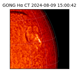 gong - 2024-08-09T15:00:42