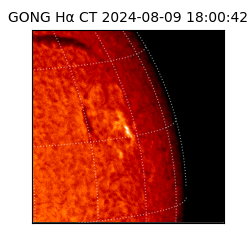 gong - 2024-08-09T18:00:42