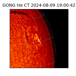gong - 2024-08-09T19:00:42
