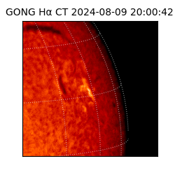 gong - 2024-08-09T20:00:42