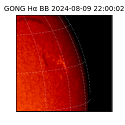 gong - 2024-08-09T22:00:02