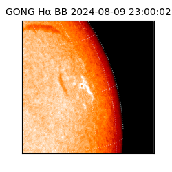gong - 2024-08-09T23:00:02